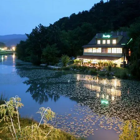 Casa de hóspedes Benatky 3*