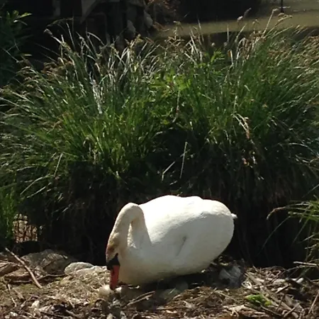 Casa de hóspedes Benatky 3*