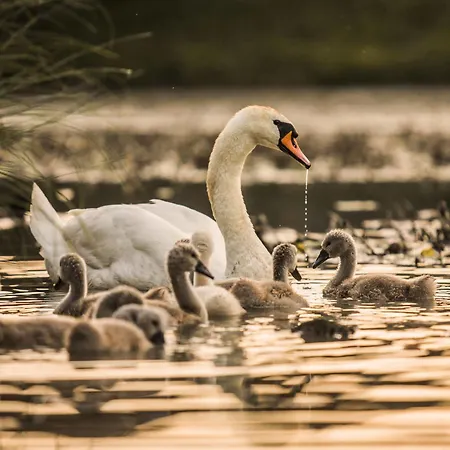 Benatky Casa de hóspedes 3*